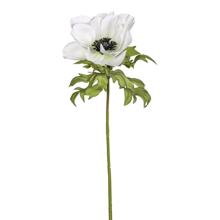 17.5" Anemone Stem  FL1070