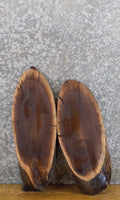 2- DIY Live Edge Black Walnut Oval Cut Charcuterie Boards/Slabs 6001-6002