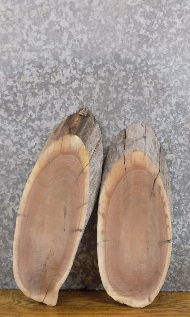 2- DIY Live Edge Black Walnut Oval Cut Charcuterie Boards/Slabs 6001-6002