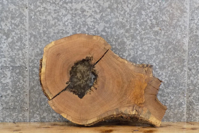 2- Live Edge White Oak Oval Cut Split Slab/Epoxy Slab CLOSEOUT 6396-6397
