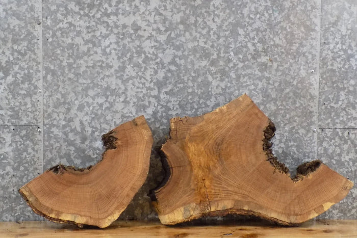 2- Live Edge White Oak Oval Cut Split Slab/Epoxy Slab CLOSEOUT 6396-6397