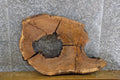 2- Oval Cut Live Edge White Oak Epoxy Project CLOSEOUT 6134