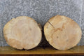 2- Rustic Round Cut Live Edge Ash Craft Pack/Clock Plaque Slabs 12202-12203