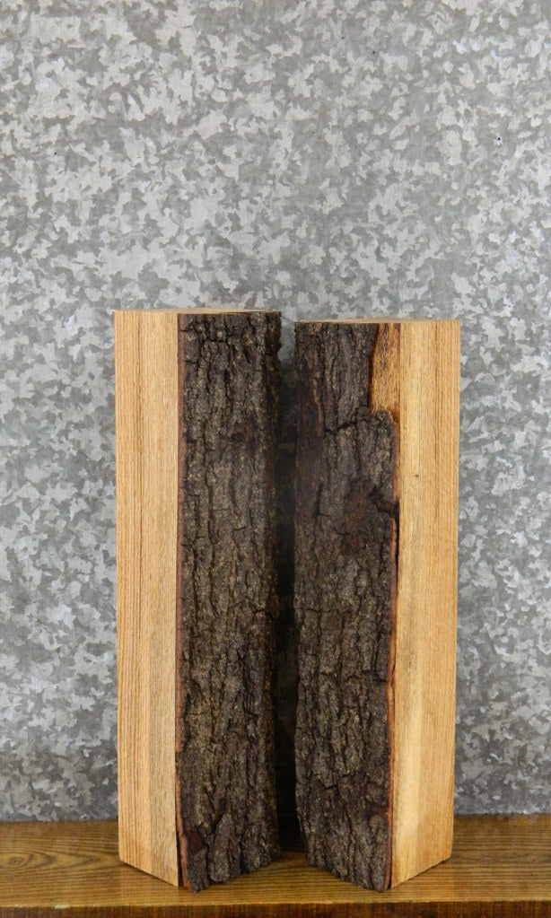 2- Salvaged Partial Live Edge Red Oak Craft Pack 8871-8872
