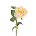 21" Rose Stem  FL1074