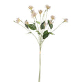 27" Clematis Pod Stem Bundle   ST1204