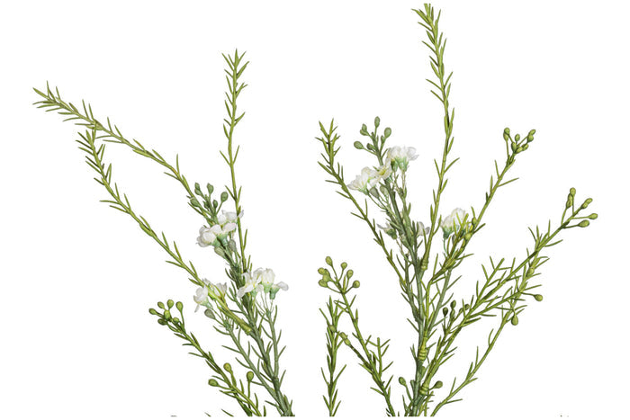 29" Myrtle Stem  ST1203