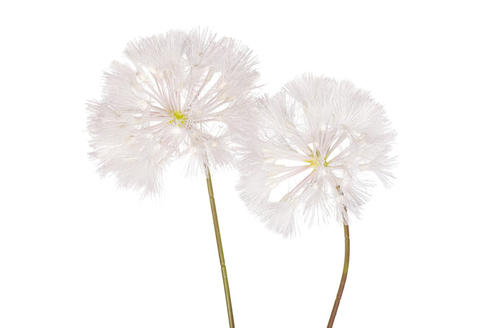 45" Dandelion Stem   FL1068