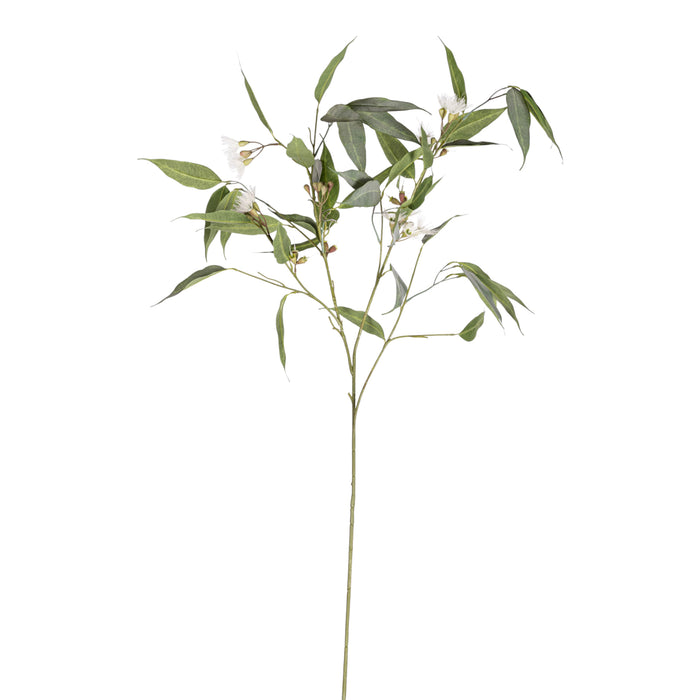 54" Eucalyptus Stem with Flowers  ST1207