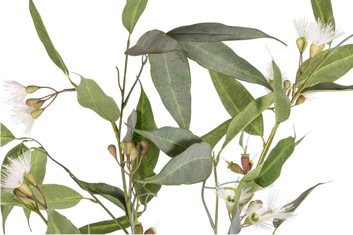 54" Eucalyptus Stem with Flowers  ST1207