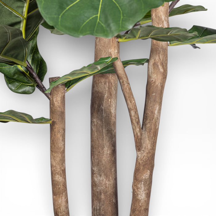 7' Fiddle Leaf Fig Tree   FP1402