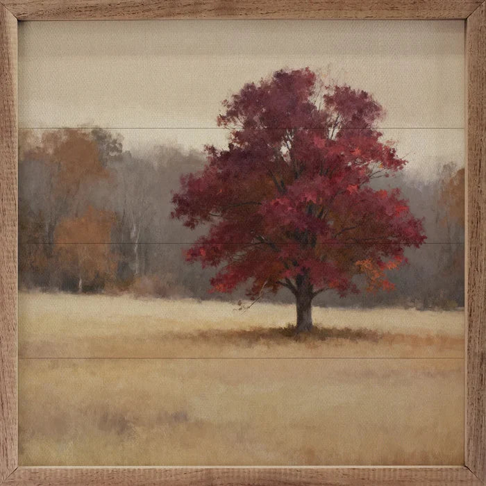 Blaze Maple