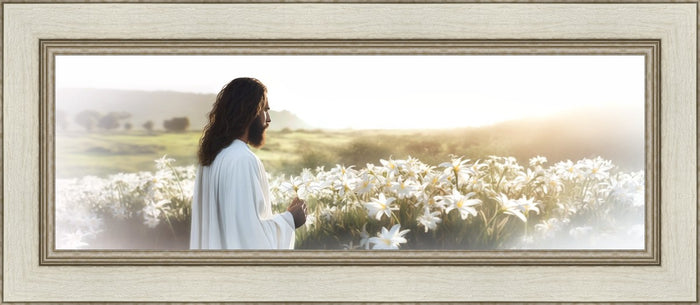 Consider The Lilies