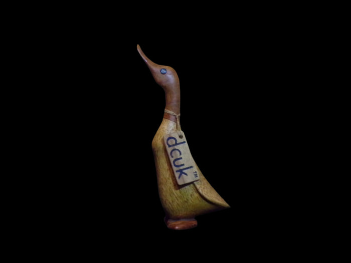 Hand-Carved Wooden Boot/Root Duck Figurine (Rossie)