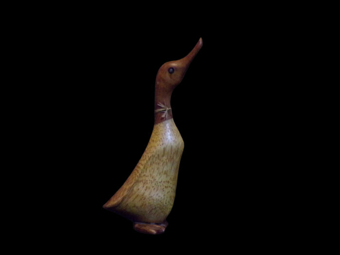 Hand-Carved Wooden Boot/Root Duck Figurine (Rossie)