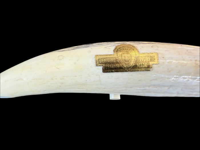 Hand-Etched Resin Tusk Replica