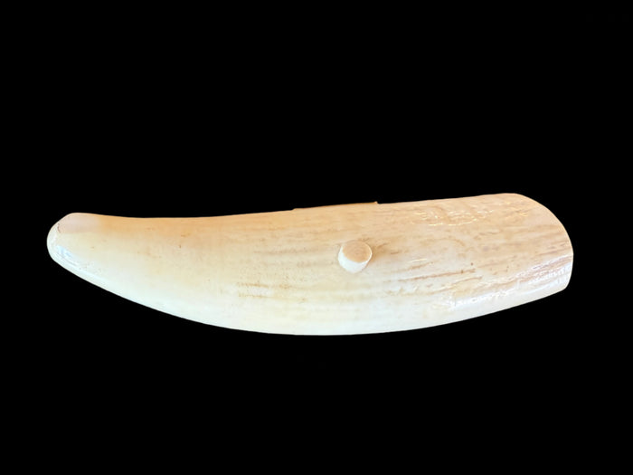 Hand-Etched Resin Tusk Replica