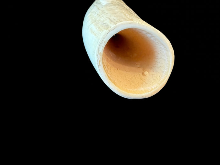 Hand-Etched Resin Tusk Replica