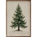 Lighted Pine Tree