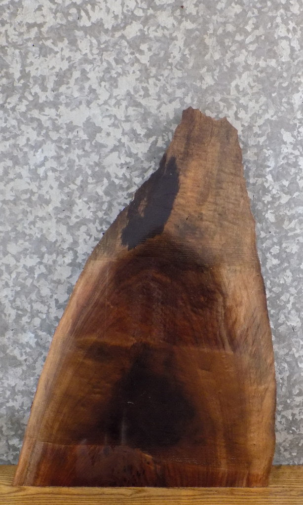 Live Edge Black Walnut End/Entry Table Top Slab CLOSEOUT 5351