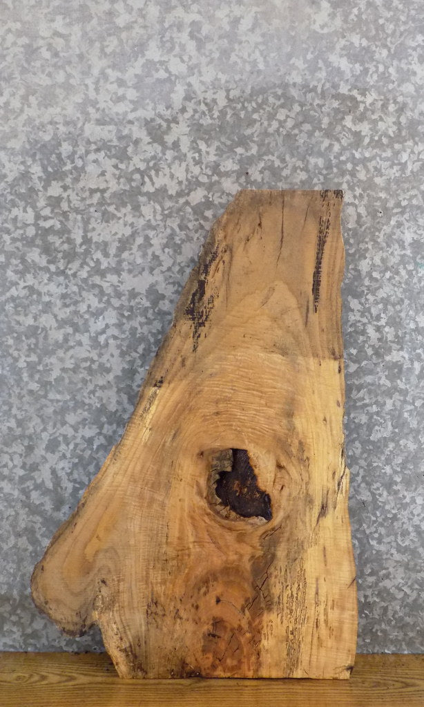 Live Edge Thick Cut Ash End/Side Table Top Slab CLOSEOUT 5336