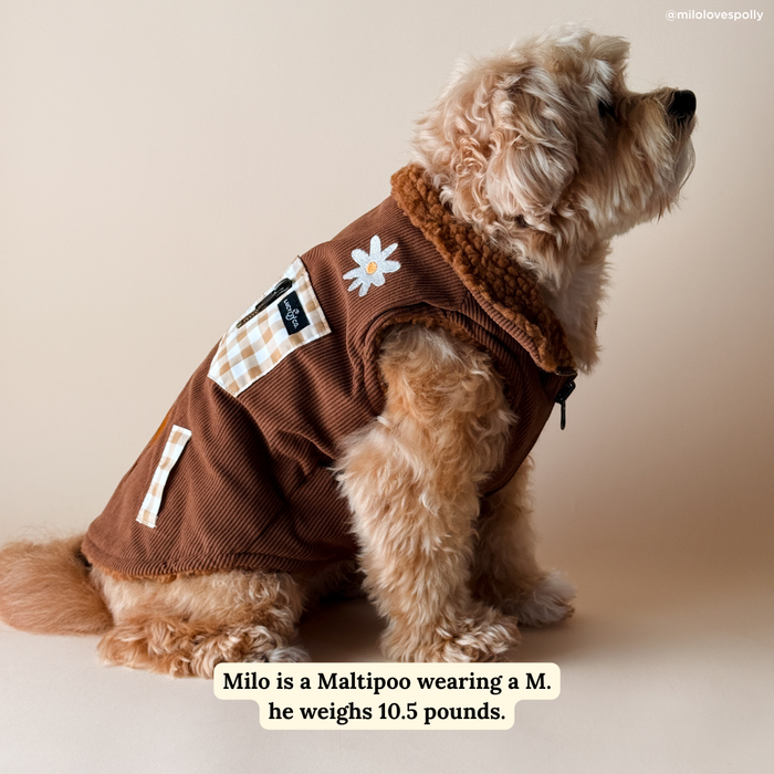 Lucy & Co. - Chocolate Meadows Reversible Teddy Vest