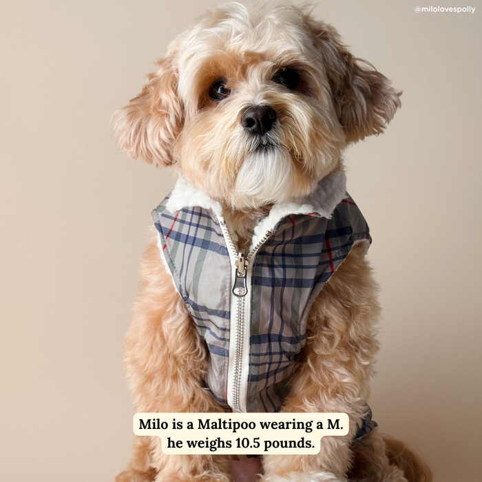 Lucy & Co. - Mad for Plaid Reversible Teddy Vest