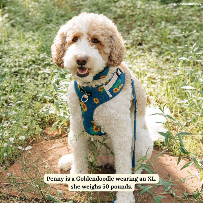 Lucy & Co. - Sunflower Power Denim No-Pull Harness