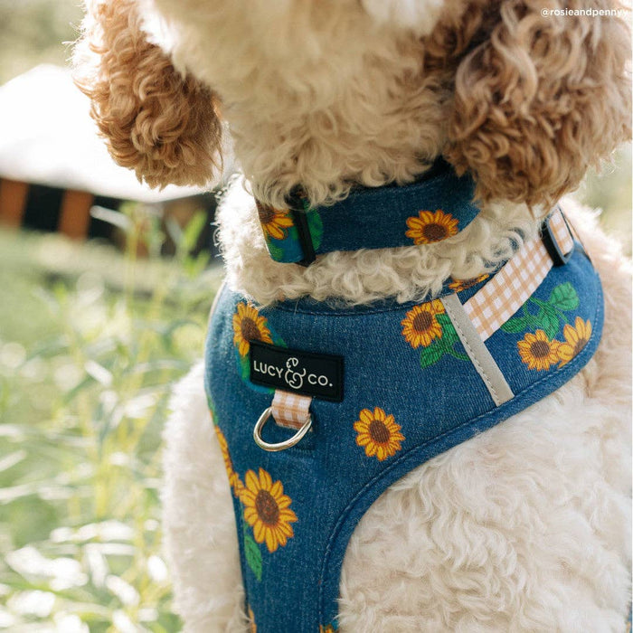 Lucy & Co. - Sunflower Power Denim No-Pull Harness
