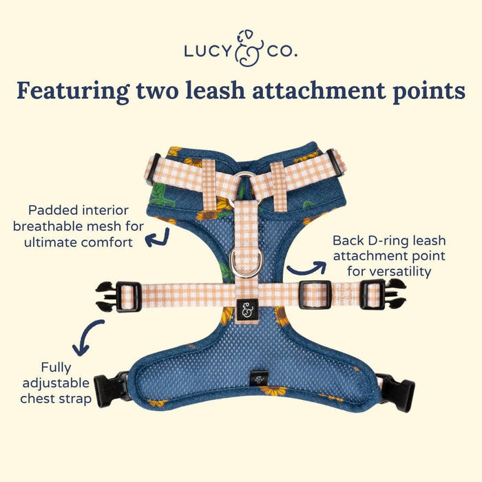 Lucy & Co. - Sunflower Power Denim No-Pull Harness