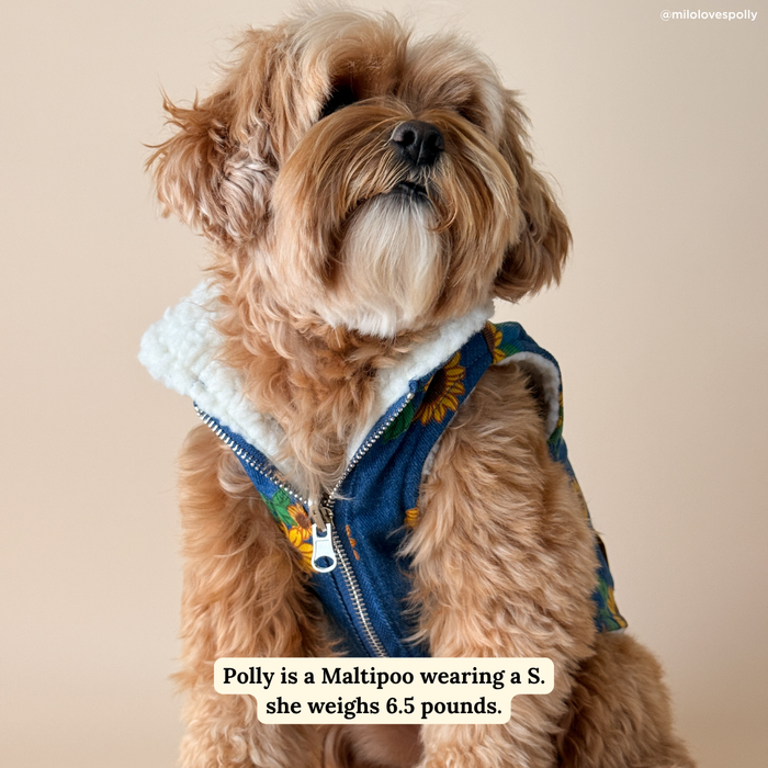 Lucy & Co. - Sunflower Power Reversible Teddy Vest