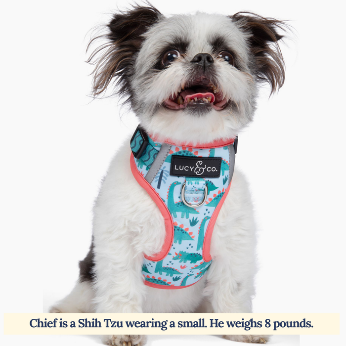 Lucy & Co. - The DinoROAR No-Pull Harness