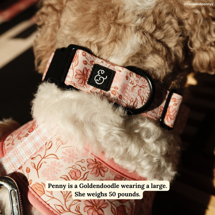 Lucy & Co. - Woodland Wildflowers Collar