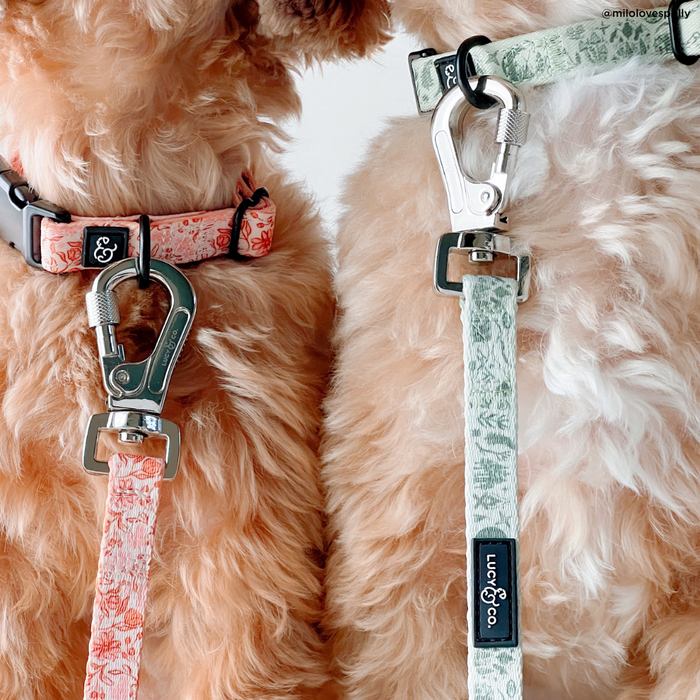 Lucy & Co. - Woodland Wildflowers Collar