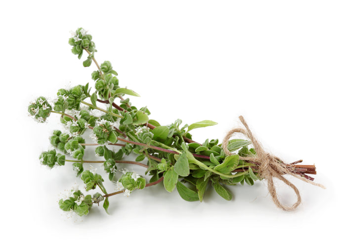Marjoram Pure Egyptian Oil