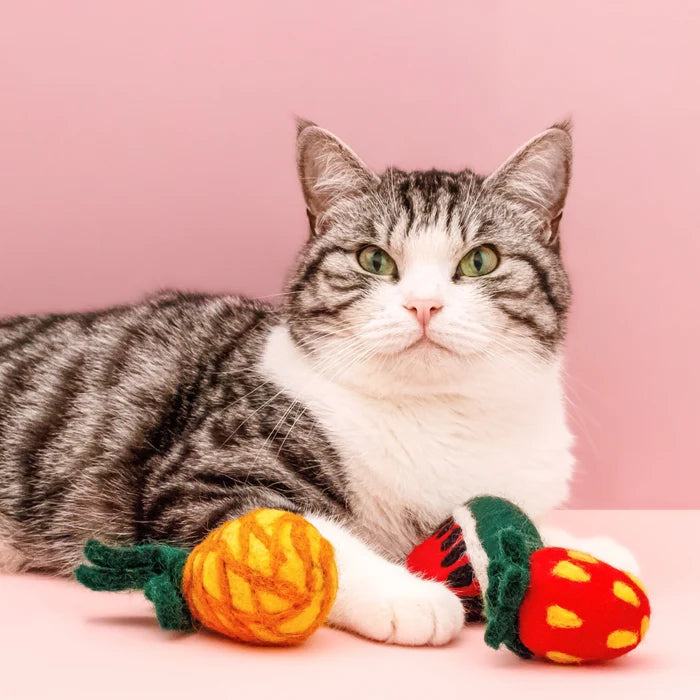 Mimi's Daughters Fruit Basket - Felt Cat Toy