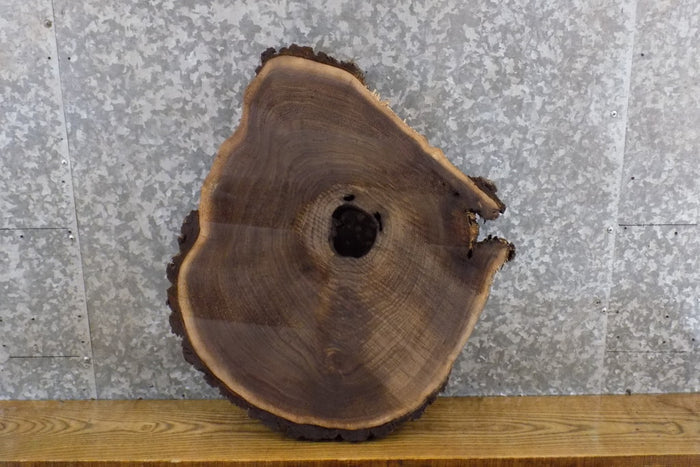 Natural Edge Round Cut Black Walnut End/Side Table Top Slab 6502