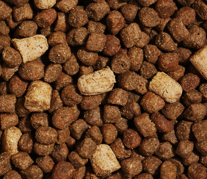 Open Farm RawMix Fish Puppy Ancient Grain Food for Dogs