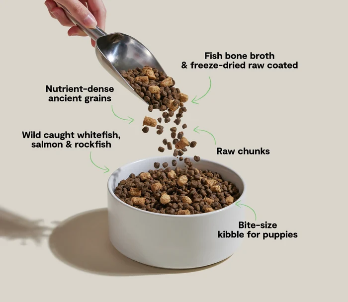 Open Farm RawMix Fish Puppy Ancient Grain Food for Dogs