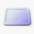 Gradient Purple / M