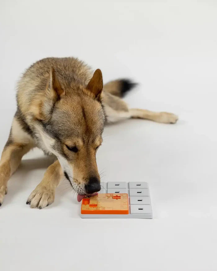 Pawzler Build Your Own Puzzle - Terra Pawzle