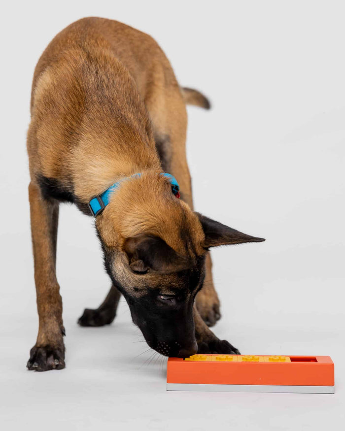 Pawzler Build Your Own Puzzle - Zhu Pawzle