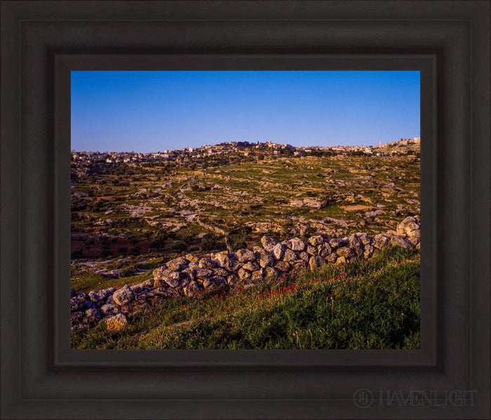 Open Edition Print / 20 X 16 / Brown 27 3/4 X 23 3/4