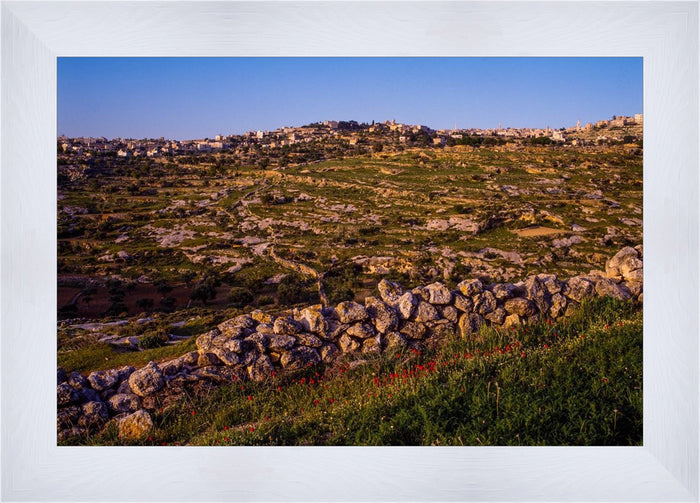 Open Edition Canvas / 36 X 24 / White 43 3/4 X 31 3/4