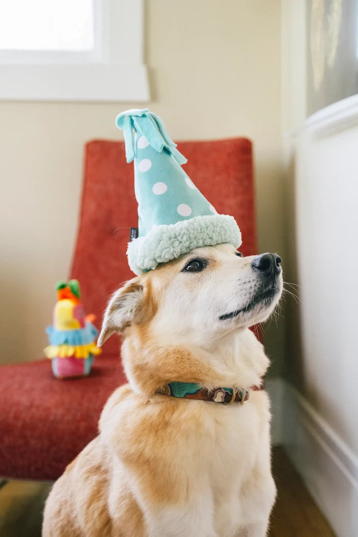 Play Pet Brands - Party Animal Yappy Party Hat