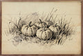 Pumpkins In Grass Simple