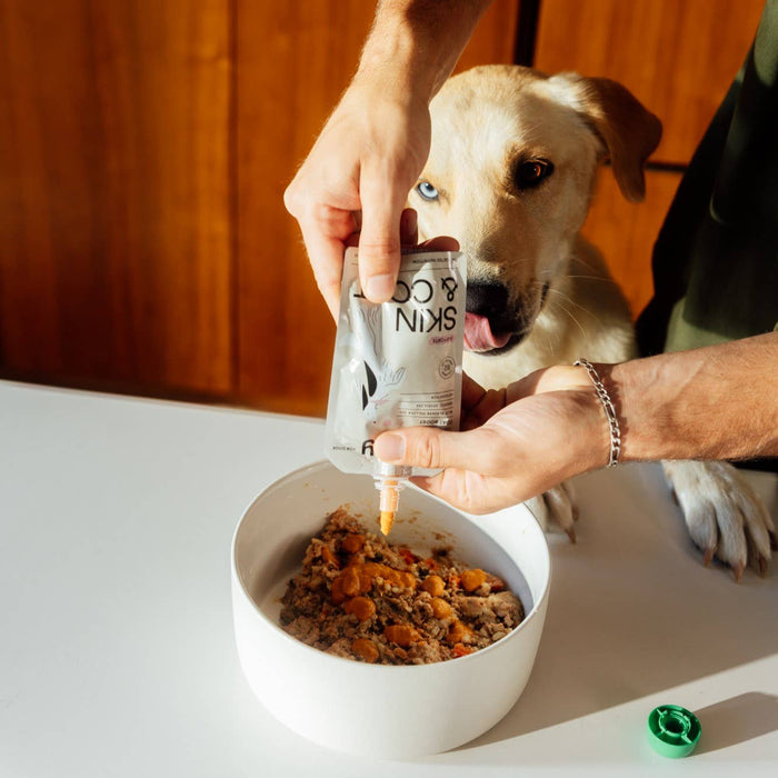 Rigby - Rigby Targeted Dog Treats, Hip & Joint Lickable Pouch