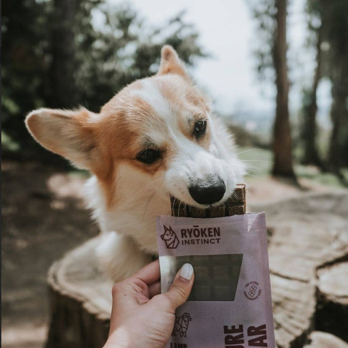 RYŌKEN INSTINCT - Lamb Treat & Snack Bar for Active Dogs - Energy & Recovery