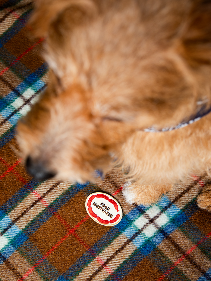 Scout's Honour Pty Ltd - Food Motivated iron-on patch for dogs and cats