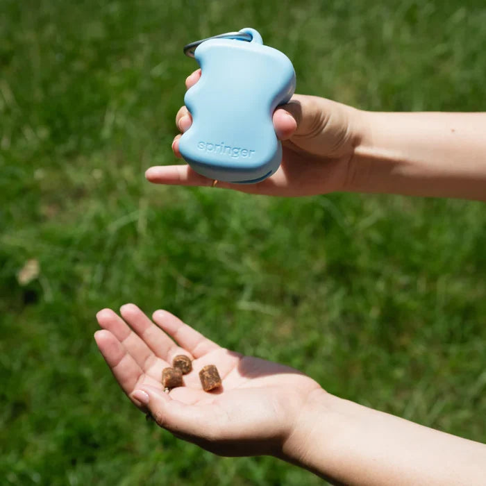 Springland Silicone Dog Treat Dispenser